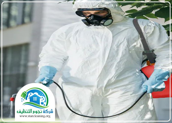 مكافحة حشرات شرق الرياض 4 مكافحة حشرات شرق الرياض