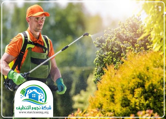 شركة مكافحة حشرات بالرياض 3 شركة مكافحة حشرات بالرياض