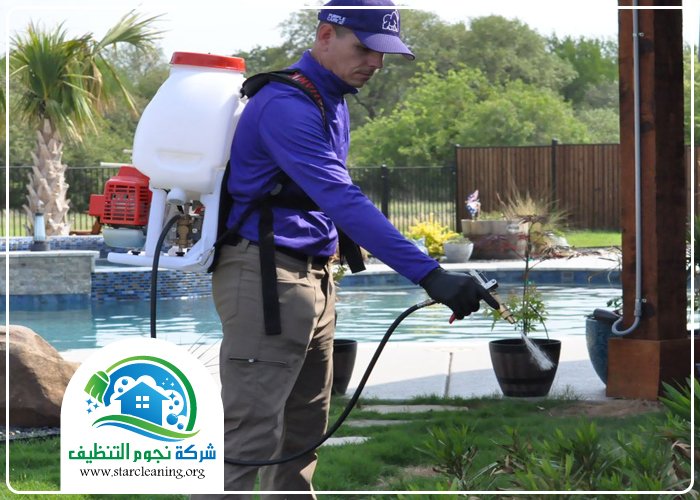 شركة مكافحة حشرات بالرياض 4 شركة مكافحة حشرات بالرياض