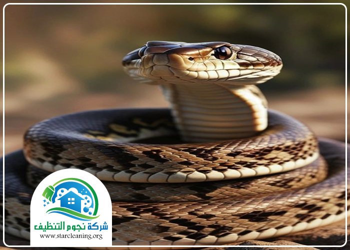 شركة مكافحة ثعابين بالرياض 5 شركة مكافحة ثعابين بالرياض